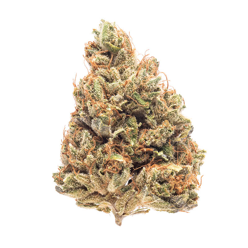 ALE-322NC Universal Cannabis Scale – DBS